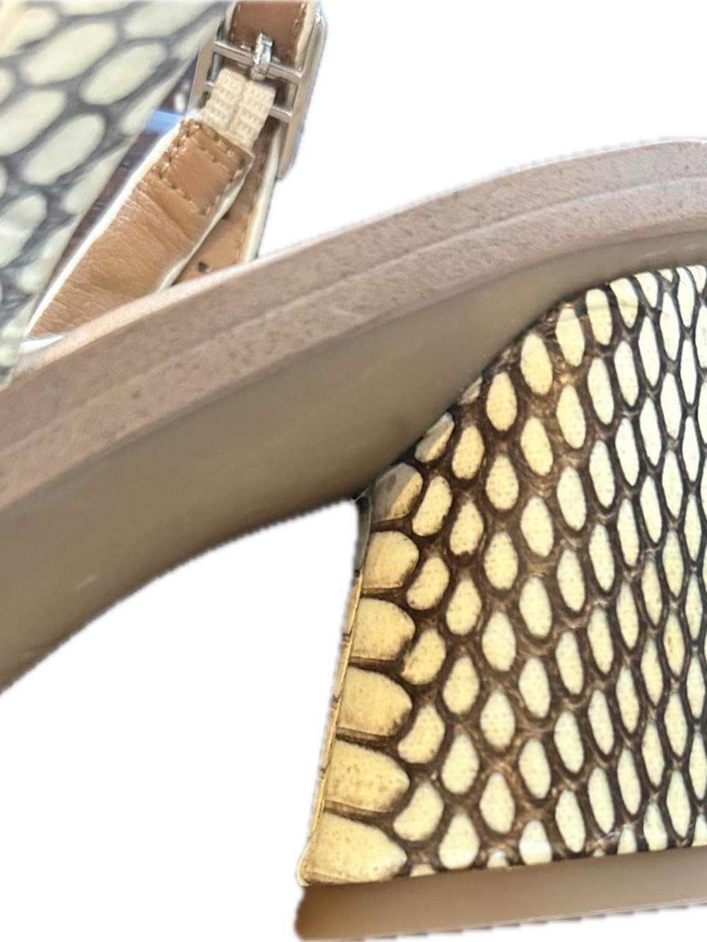 SARTO By Franco Sarto Rache 2 Snake-Print Block Heel Sandals - Picture 11 of 11